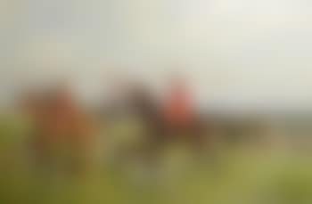 The South Staffordshire hunt at Longdon Green, Lichfield (preview)