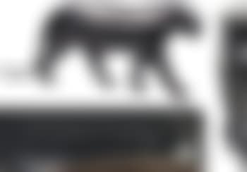 Panthère noire (preview)