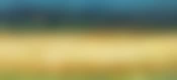 Kornfeld im Sommer (preview)