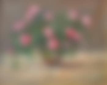 Bouquet de roses (preview)