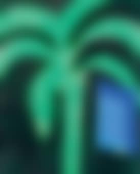 Palm and Window (H. 88) (preview)