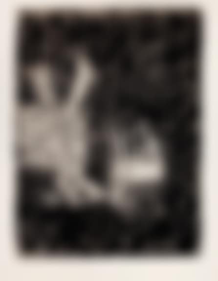 Zwei Rehe (two deers) (preview)