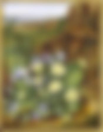 A still life of violets and primula (preview)