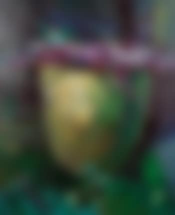 Setcreasea Pallida (preview)