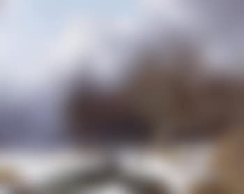 Paesaggio d'inverno (preview)
