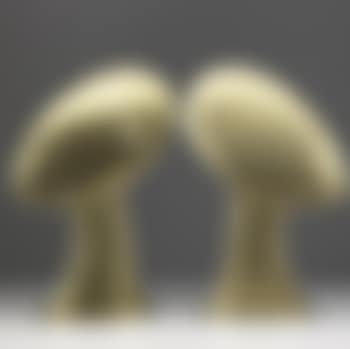 Heads (preview)