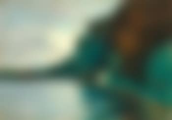 Bewaldetes Seeufer (Grunewaldsee?) (preview)