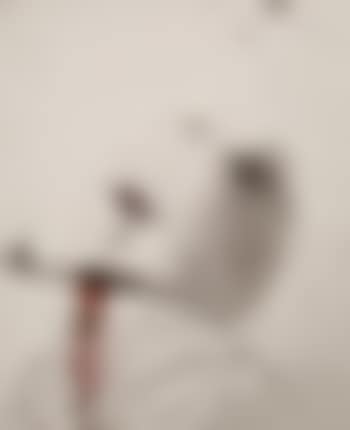 Hals IV (preview)