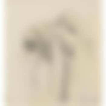 Study Of A Cape, Saddle And Sword (preview)