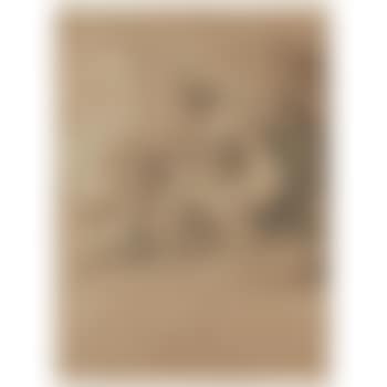 Venus Nursing The Cupids (preview)