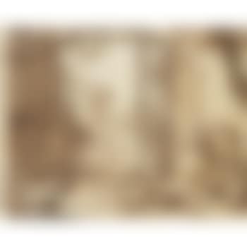 Scene By A Park Gate: An Amorous Couple Watching A Dog Scaring Swans (preview)