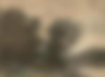 A peasant sitting on a riverbank beneath some trees (preview)