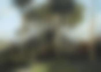 Countryside scene, Cuba (preview)