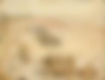Ostende (preview)
