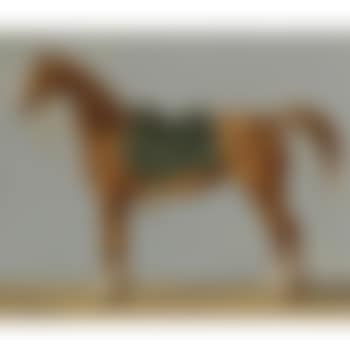 A Study Of A Horse (preview)