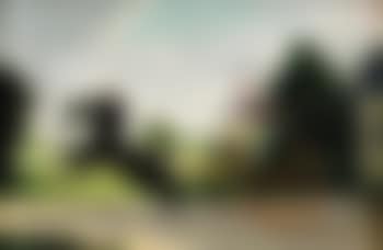 A lady driving a tandem in parkland (preview)
