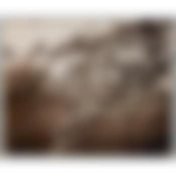 Poirier Fleurs (preview)