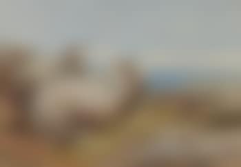 Sheep at rest by a clifftop (preview)