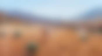 Les moissons en Afrique du Nord (preview)