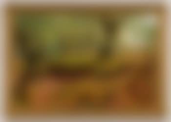 Burnham Woods (preview)