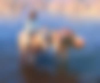 Les aniers (preview)