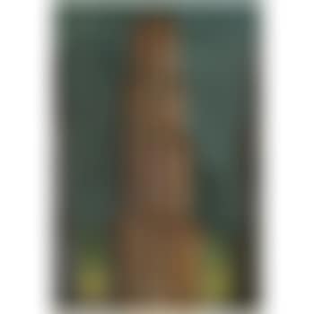 La Grande Torre II (preview)