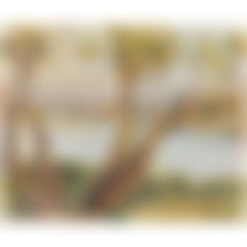 Vue D'Antibes (preview)