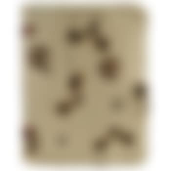 Design For The Cover Of Album 19 (preview)