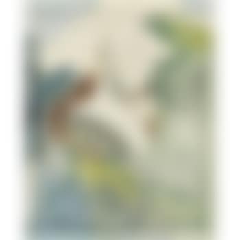 Saint-jean-baptiste (preview)