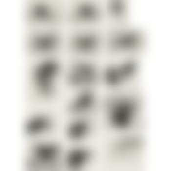 Dog Wall (preview)