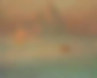 La Salute Matin d'hiver, Venise (preview)