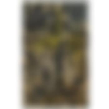 Fluxus (preview)