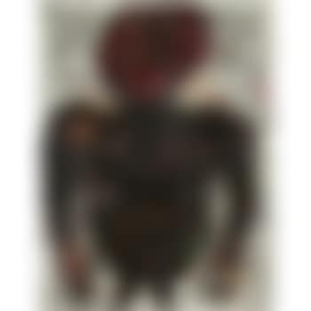 Le Barbouillé (preview)