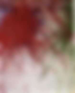 Schüttbild in 3 Farben (preview)