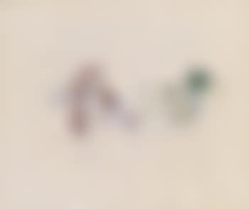 Landschaft (preview)