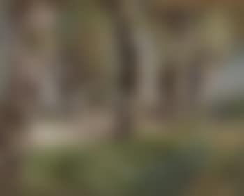 Baumlandschaft (preview)