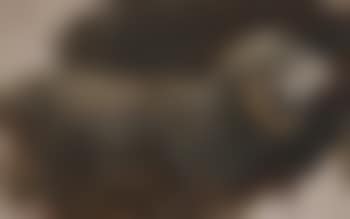 Widder (preview)