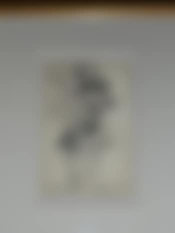 Etudes du visage d'une femme portant un chapeau à fleurs et d'un homme de profil portant un haute de forme, raturés (preview)
