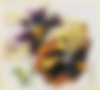 Stiefmütterchen (preview)