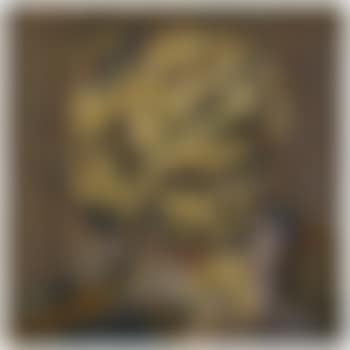 Head Of Gerda Boehm II (preview)