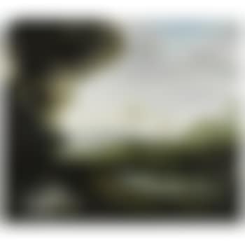 The Wintry Wind Of The Bone (preview)