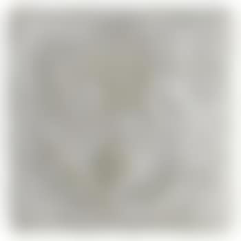 Lichtfeld (preview)