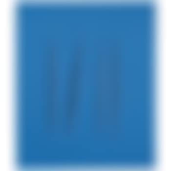 Concetto Spaziale, Attese (preview)