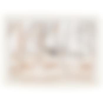 Birthplace (preview)