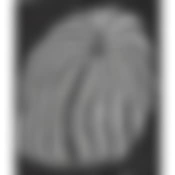 Pumpkin (preview)