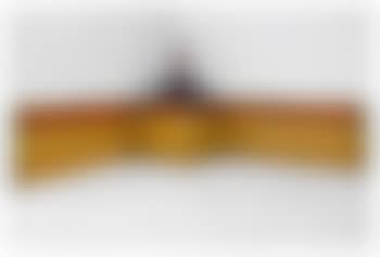 Futur-camera con lampada (preview)
