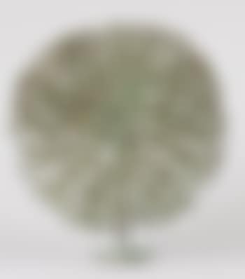 Bush (preview)