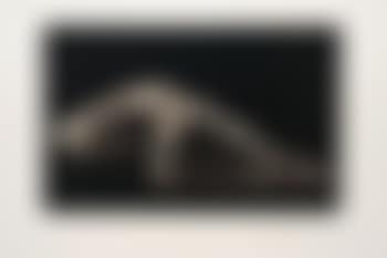 Perspective II (preview)