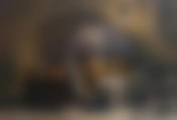 The sortie (preview)