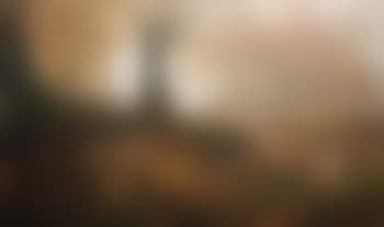 Through the coverts of the deer (preview)